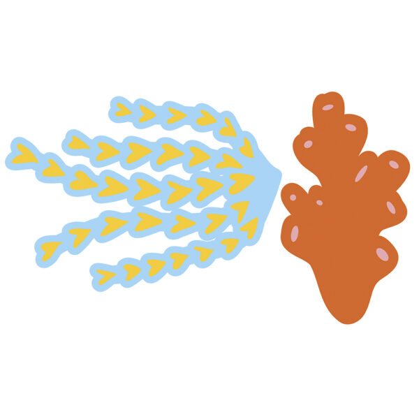 Janod Atelier - 3D zeedieren - Afbeelding 8