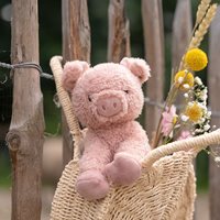 Little Dutch - Knuffel Varken 17cm Little Farm