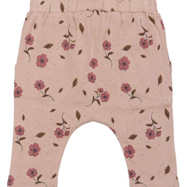 The New - Pants Picole