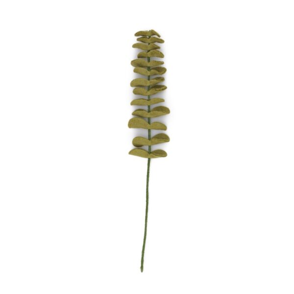 Sjaal met verhaal - Tak Eucalyptus Lichtgroen
