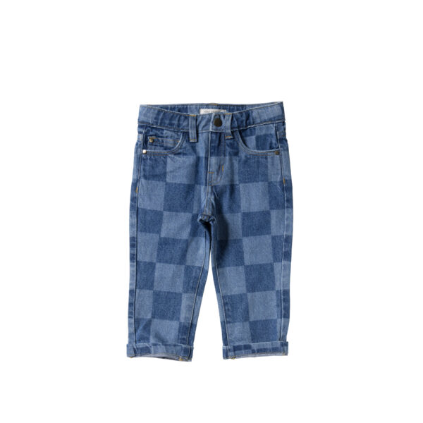 Your Wishes - Straight Leg Jeans  - Check Denim