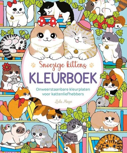 Snoezige kittens kleurboek