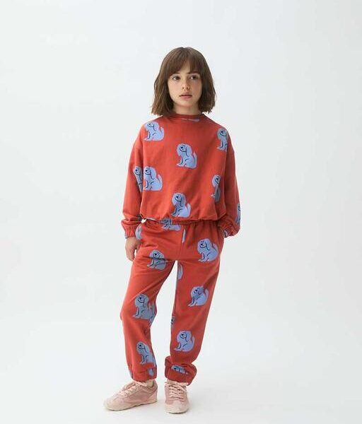 Kind draagt rode joggingset met blauwe hondenprint en roze sneakers op witte achtergrond