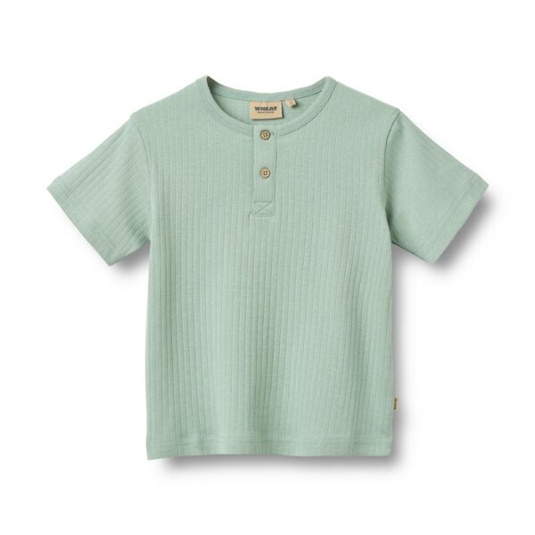 Wheat - T-Shirt Lumi  - Green Pool